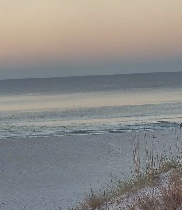 Thursday Morning 10/15/26