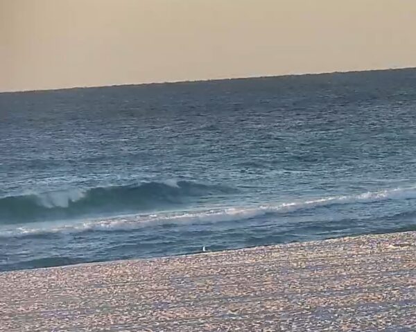 Tuesday Morning 10/20/26